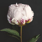Jessie Schares's photo