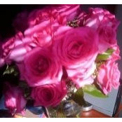 Aquarius Arnold's photo