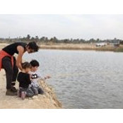 Yara Masry's photo
