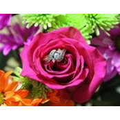 Stacey Conner's photo