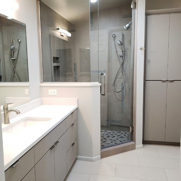 Contemporary Master Bathroom(s) Remodel