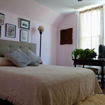 Emergency Mold Mitigation Rainbow House Repaint