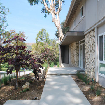 South Pasadena Hillside