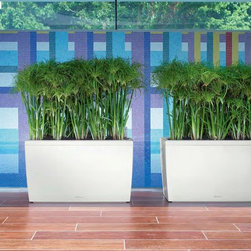 Modern Planter - Products