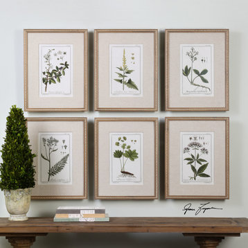 Uttermost Green Floral Botanical Study Prints, Set of 6