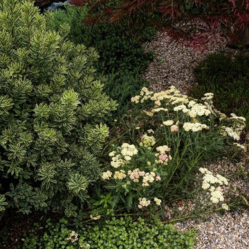 Gravel Garden Entry