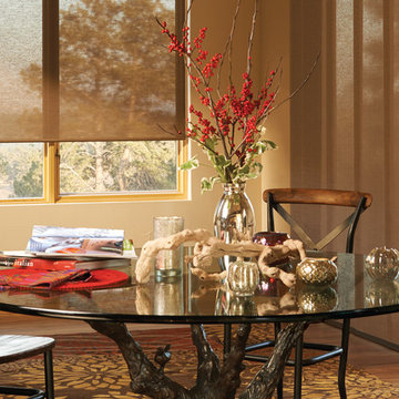 Hunter Douglas Vertical Window Treatments