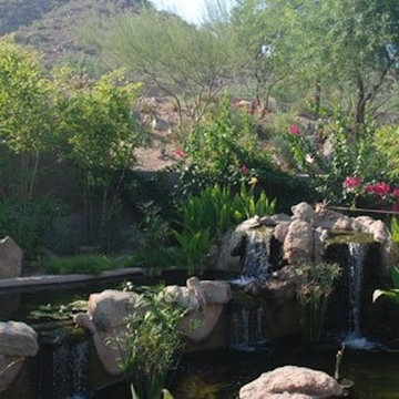 Water Features