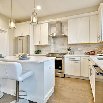 Beautiful Row-homes Ideally located in Downtown Mount Prospect