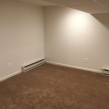 Basement with Bath