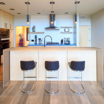 Modern Aspen ave. House