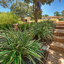 19100 EF Backyard Landscaping
