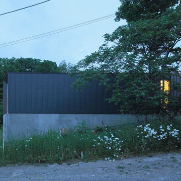 Leaf house