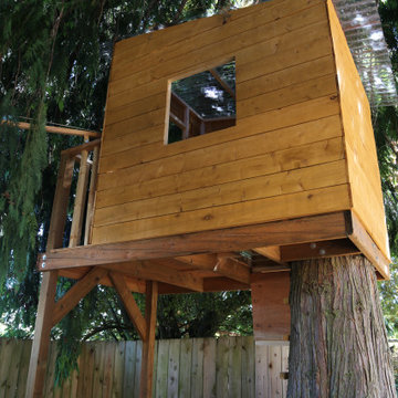 Custom Tree House