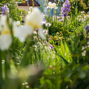 Gartenprofi verwandelt Münchner Dachterrasse zum Blütenmeer