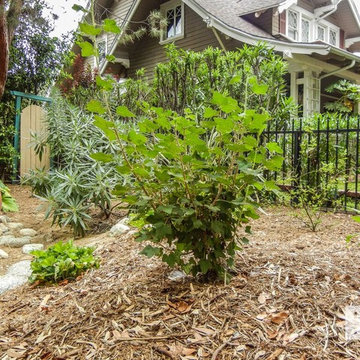 N Olive Ave Residence (Alhambra)