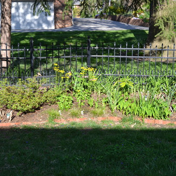 DIY Landscape - Woodland or Shade Gardening