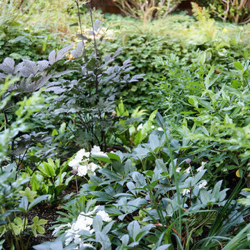 Windermere Garden