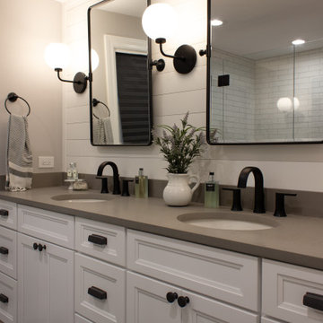 Multi-Room Tower Lakes Remodel