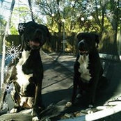 Jennifer Rinehart Bartels's photo