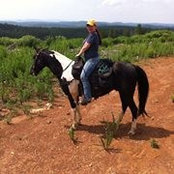 Kim McCain's photo