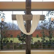 Jeanine Trigg's photo