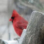 Nita Weimer's photo