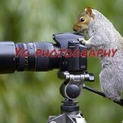 Yitty Grosz's photo