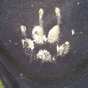 Elisabetta Bonardi's photo