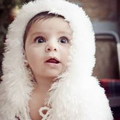 Bashar Najjar's photo