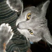 Gary Chase's photo