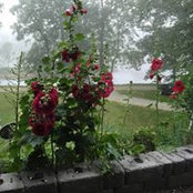 Bernice Brown's photo