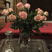 Lisa Muzzi's photo