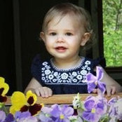 Emily Morris's photo