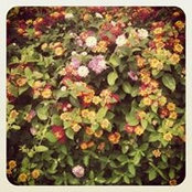 Hannah Morrisonさんの写真