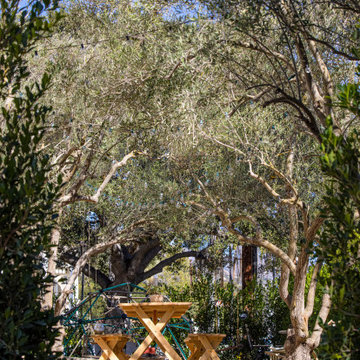 Olive Allee with picnic table and play area