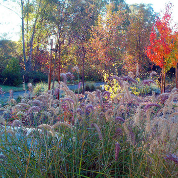 Beautiful grasses add additional magic to the fall color display of nearby trees