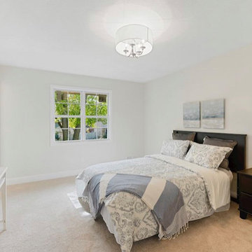 Eden Prairie Full House Remodel