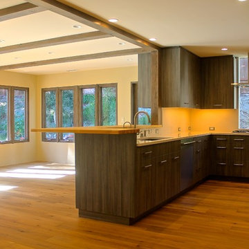 Del Mar Whole House Remodel