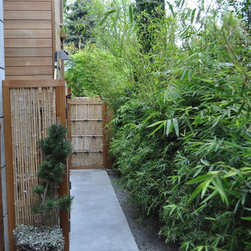 Asian Themed Garden (Palo Alto, CA)