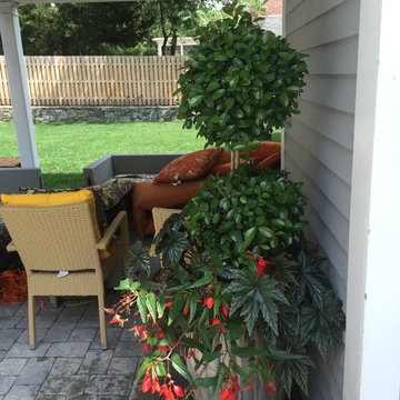 container gardens