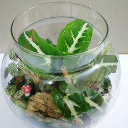 Petite Gardens: Woodland creatures - Products