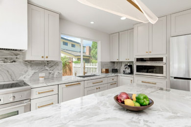 Kitchen - contemporary kitchen idea in San Diego