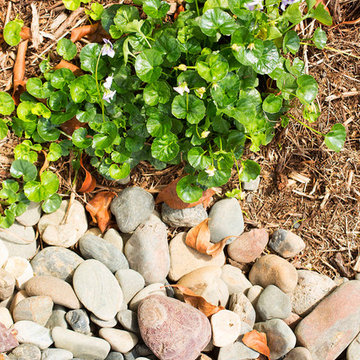 PIT_Carindale Design and Build