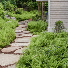 Entry Walkway to Basement Apartment