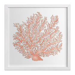 Painted Coral by Natalie Groves - Fine Art Prints