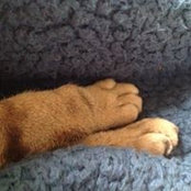 Bethan Lewis Delorme's photo
