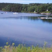 Sandy Greenberg's photo