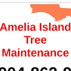 Amelia island tree maintenance