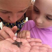 Pat Bernard's photo